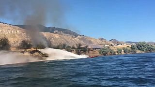 Watch: Speedboat uses its power to fight wildfire