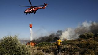 Μεγάλη πυρκαγιά στις Σπέτσες-Καίει δασική περιοχή