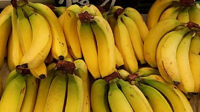 Three busted in attempt to use bananas to smuggle $45 into S. Africa jail