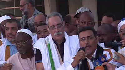 Référendum en Mauritanie : l'unique parti appelant au non dénonce une campagne "inégalitaire"