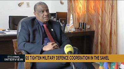 [Interview] Joint anti-terrorism force in the Sahel gradually taking shape