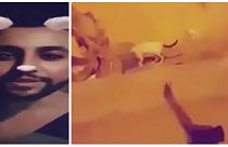 Saudi-Arabien sucht den "Katzen-Killer" - nach Horror-Video auf Snapchat