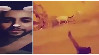 Saudi-Arabien sucht den "Katzen-Killer" - nach Horror-Video auf Snapchat