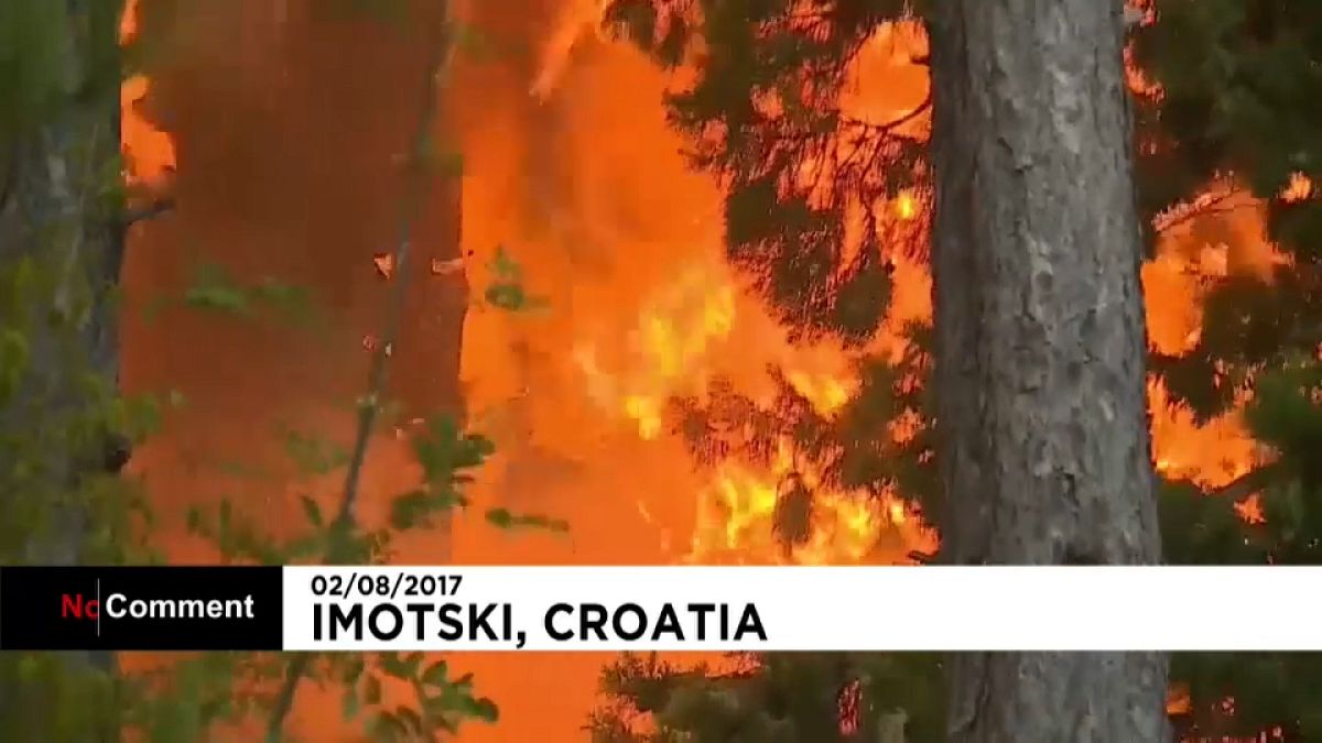 Лесные пожары в Хорватии