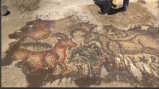 Römisches Mosaik in Südostanatolien entdeckt