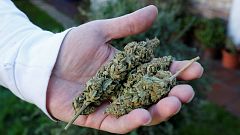 Medical cannabis shops pay taxes with bundles of cash in California