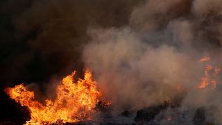 Ελλάδα: Υψηλός και σήμερα ο κίνδυνος φωτιάς