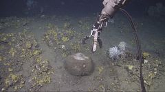 Takeaway: Filters of the ocean