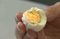 Εξαπλώνεται η «επιδημία» των μολυσμένων αυγών