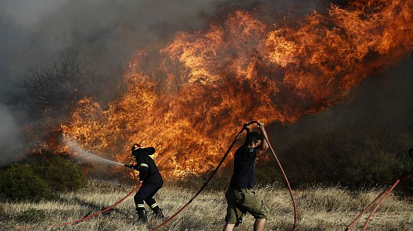 Δήμαρχος Κυθήρων: «Μαύρη μέρα, έχουν καεί περισσότερα από 15.000 στρέμματα δάσους» Δήμαρχος Κυθήρων: «Μαύρη μέρα, έχουν καεί περισσότερα από 15.000 στρέμματα δάσους»