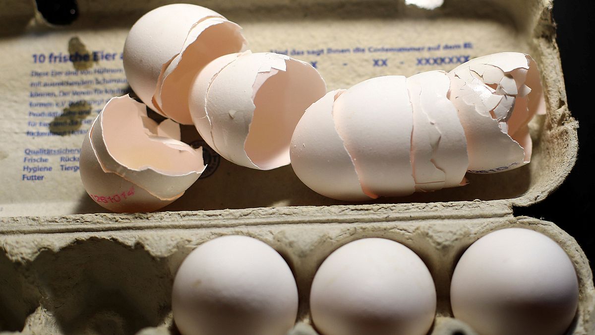 Belgische Behörden wussten seit Juni - Jetzt auch 6 Eiersalatsorten zurückgerufen