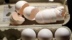 Belgische Behörden wussten seit Juni - Jetzt auch 6 Eiersalatsorten zurückgerufen