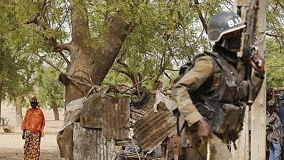 7 killed in suicide bomb attack in northern Cameroon