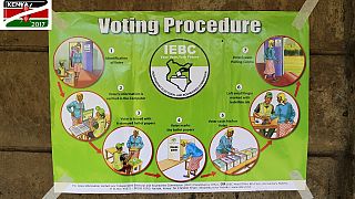 Kenya Votes 2017: Have a look at the electoral system