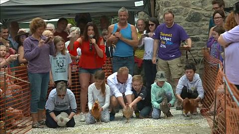 Chicken Run - Hennen rennen