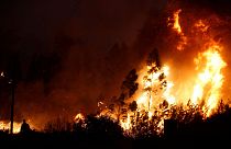 Sicile : les pompiers allumaient des incendies pour toucher les primes