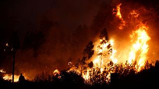 Detenido un bombero voluntario por simular incendios