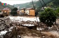 Vietnam floods leave dozens dead