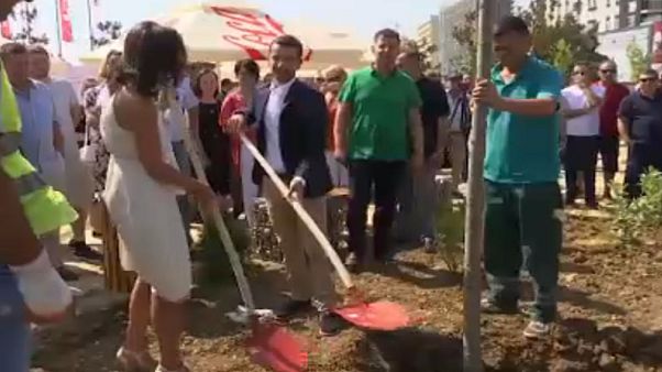 Kosovo: gli alberi degli sposi di Pristina Kosovo: gli alberi degli sposi di Pristina
