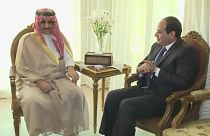 الوليد بن طلال يعتزم استثمار 800 مليون دولار في مشاريع فندقية بمصر