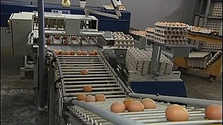 Crise dos ovos contaminados estende-se ao Reino Unido e França