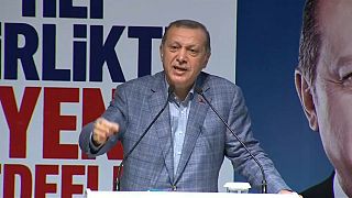 Erdoğan: Almanya teröristlere yataklık yapıyor