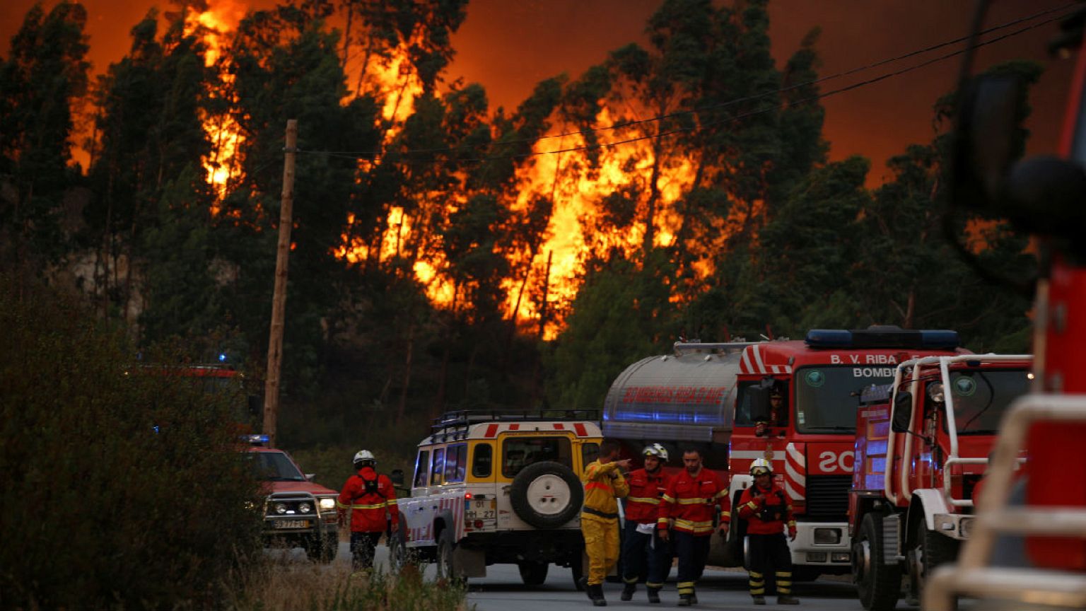 Tackle the root causes of forest fires, say experts