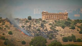 Incendi: Italia maglia nera europea 2017, Sicilia in primis