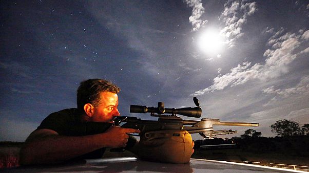L'amnistie fonctionne : des armes illégales sortent de partout L'amnistie fonctionne : des armes illégales sortent de partout