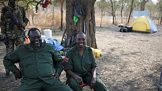 South Sudan: Army seizes rebel stronghold in oil-rich region
