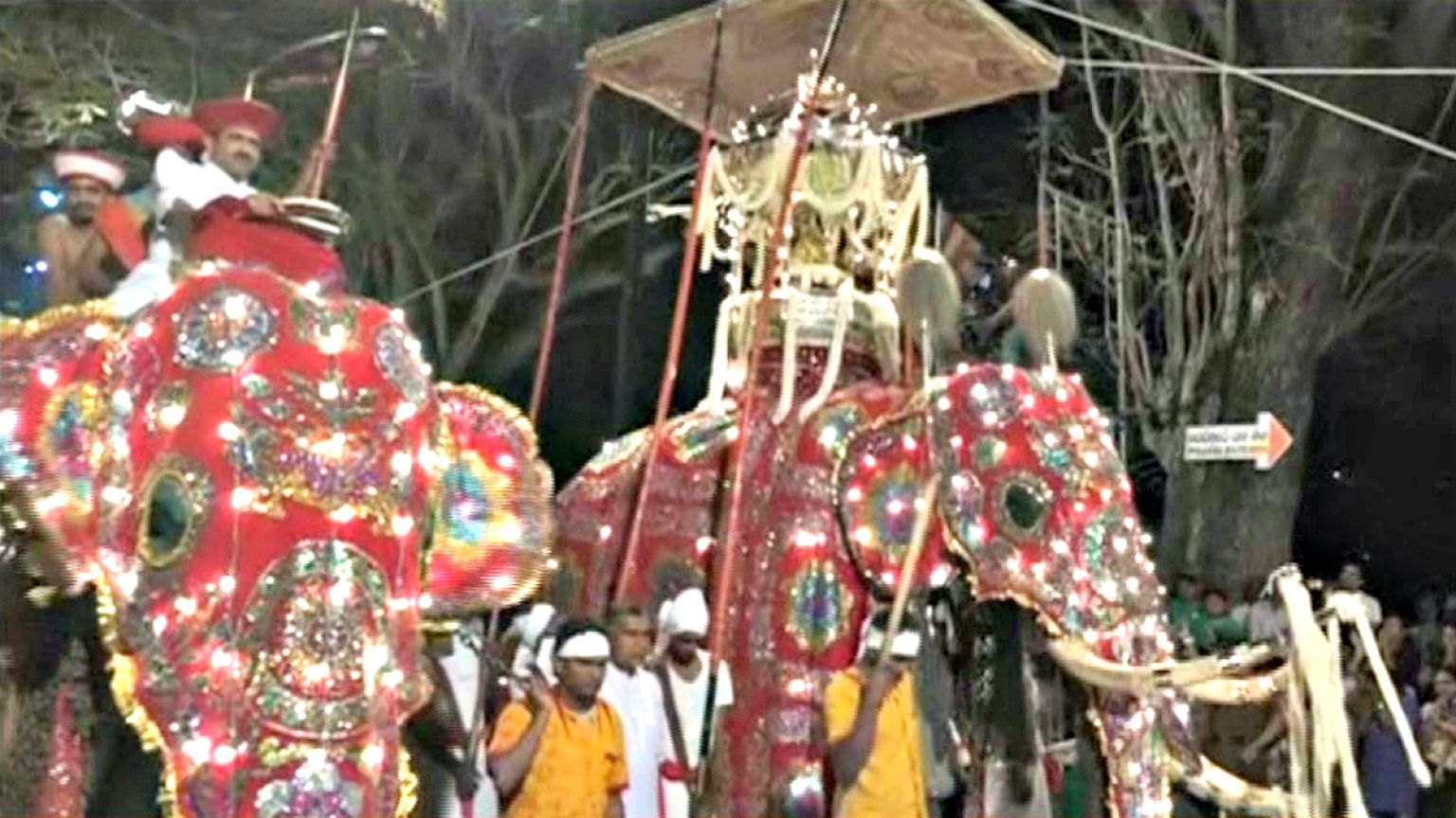 Sri Lanka: Tausende Menschen bestaunen Elefanten