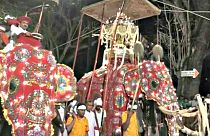 Les éléphants à l'honneur au Sri Lanka