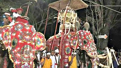 Sri Lanka: Tausende Menschen bestaunen Elefanten
