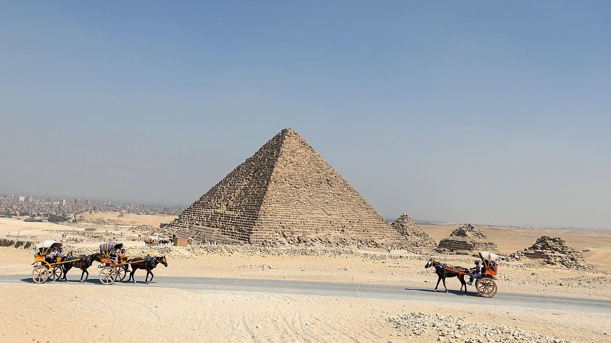 مصر: استئناف تصدير الخيول العربية  الأصيلة  إلى دول الإتحاد الأوربي