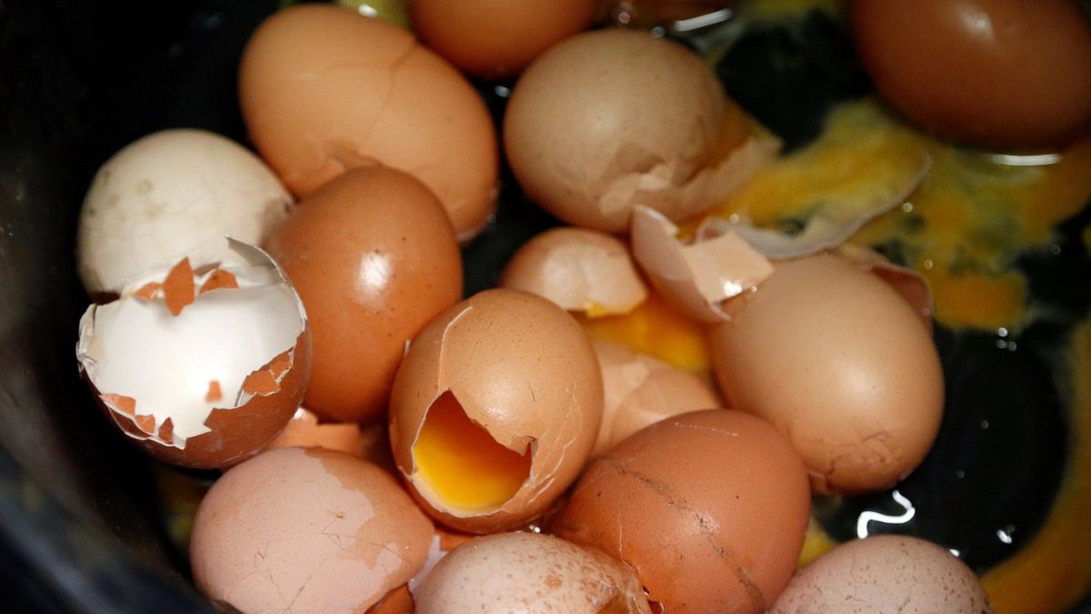 Η Κομισιόν απειλεί το Βέλγιο με κυρώσεις για τα αυγά