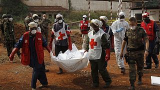 Centrafrique : au moins trois humanitaires tués (Croix-Rouge locale)