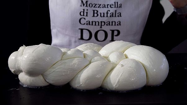 La mozzarella halal en plein essor La mozzarella halal en plein essor