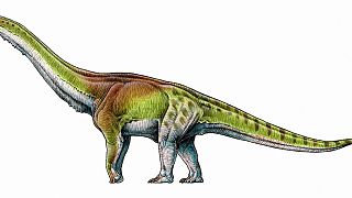 Παταγοτιτάν: Ο μεγαλύτερος δεινόσαυρος στη Γη