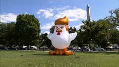 #TrumpChicken: Was sucht ein Riesenhuhn im Weißen Haus?