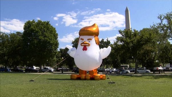 Washington: il Trump-pollo in visita alla Casa Bianca, con un messaggio ben preciso Washington: il Trump-pollo in visita alla Casa Bianca, con un messaggio ben preciso