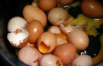 Яйца бродят по Европе — яйца с фипронилом