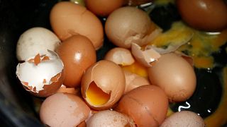 Vinte toneladas de ovos tóxicos na Dinamarca