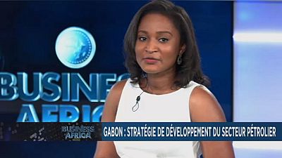 Gabon's strategy to increase its oil production and Congo to increase tourism contribution to GDP [Business Africa]
