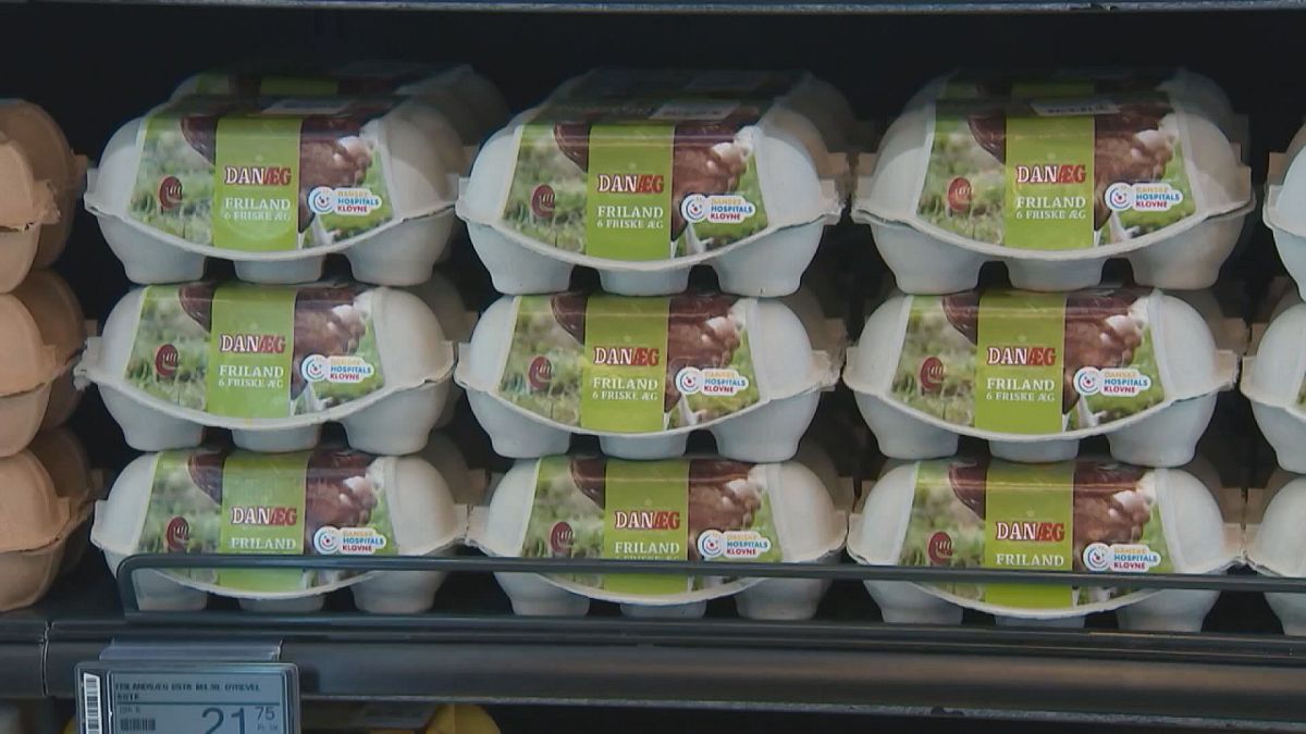 Már több mint 10 országban találtak fertőzött holland tojást