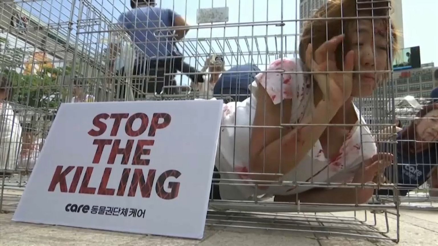Güney Kore'de köpek eti protestosu
