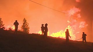 Milhares combatem as chamas em Portugal