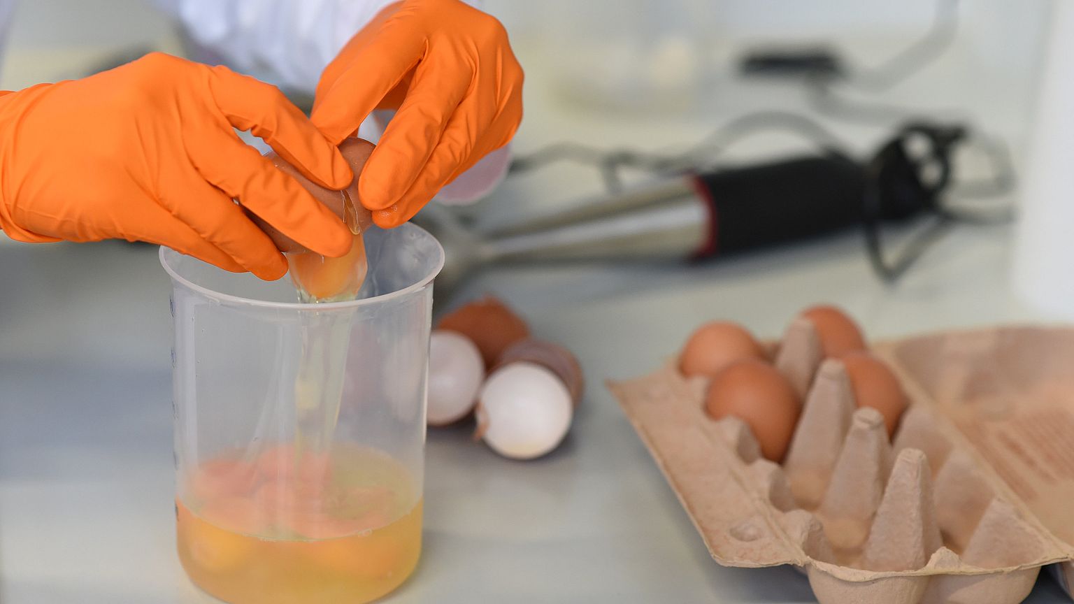 Jusqu'où mène la piste du fipronil dans les oeufs à ce jour ?