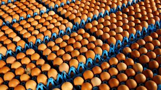 Contaminated eggs in 17 countries