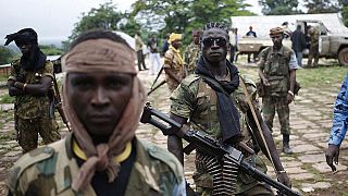 La prolifération des groupes armes en RCA inquiète