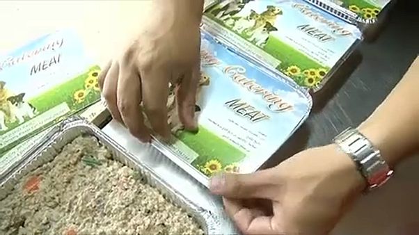 توصيل وجبات طعام منزلي لكلاب في القاهرة توصيل وجبات طعام منزلي لكلاب في القاهرة
